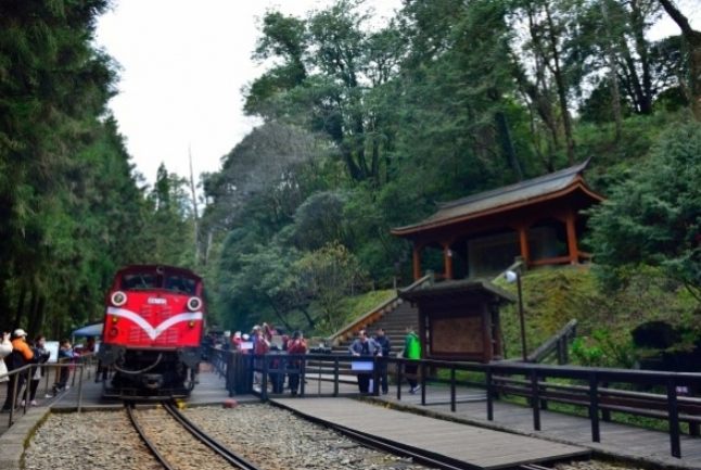 阿里山住宿推薦 阿里山住宿推薦