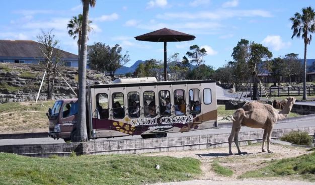 白濱冒險世界門票