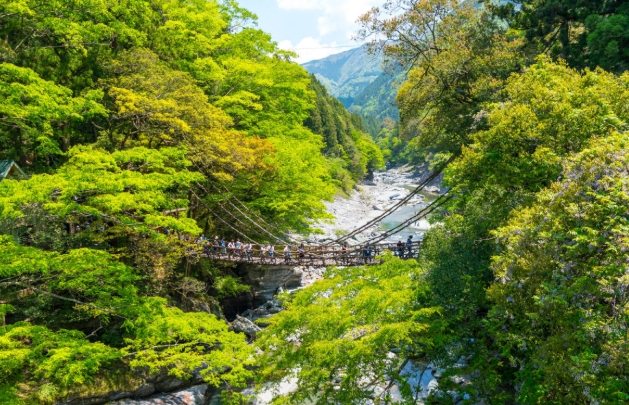 大步危交通方式