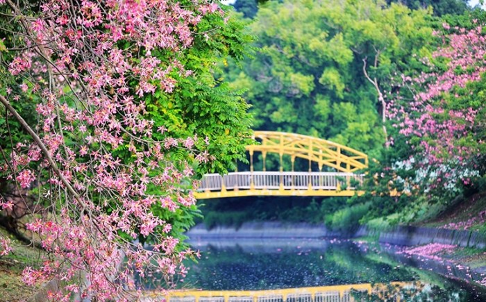 北斗美食推薦 北斗美食推薦