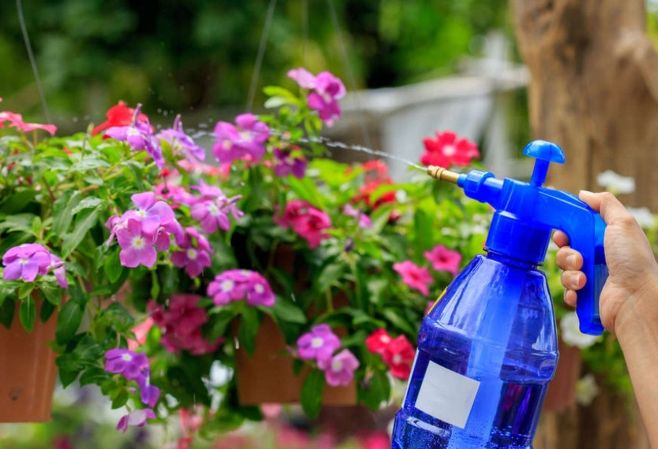 牛奶澆花方法 牛奶澆花方法