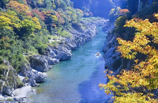 大步危交通方式