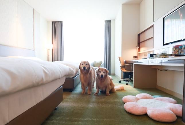 台北寵物友善住宿