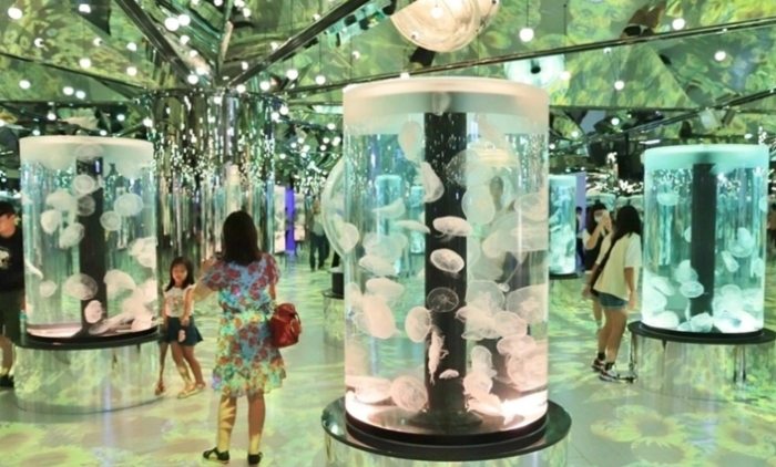 桃园机场周边旅游 桃园机场周边旅游