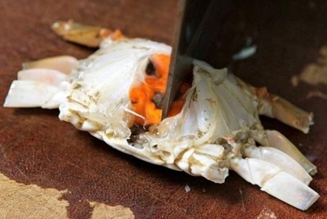 螃蟹處理技巧 螃蟹處理技巧