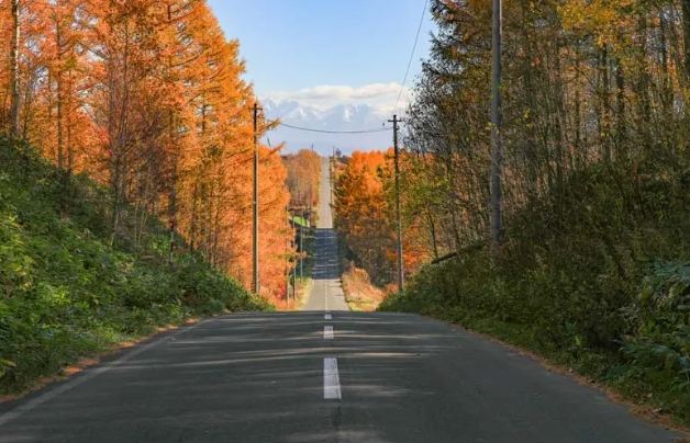 北海道秋季自駕