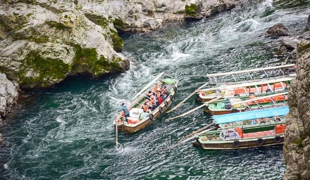 大步危交通 大步危交通