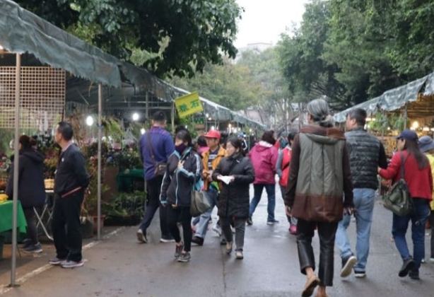 假日花市停車建議 假日花市停車建議