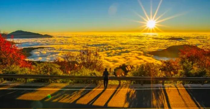 阿里山交通攻略 阿里山交通攻略