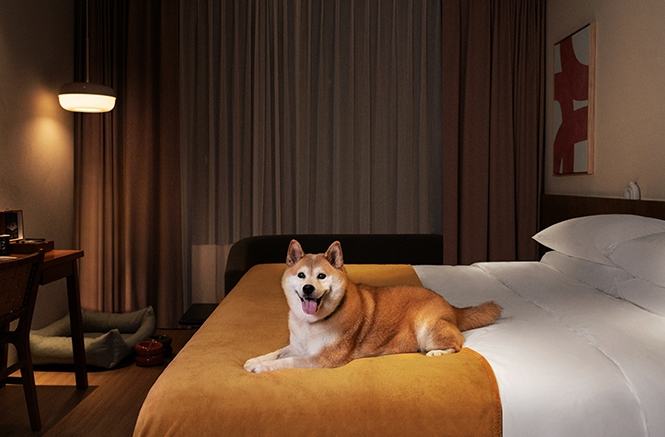 台北寵物友善住宿