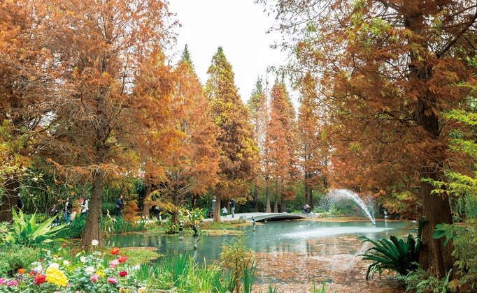 彰化旅遊攻略 彰化旅遊攻略