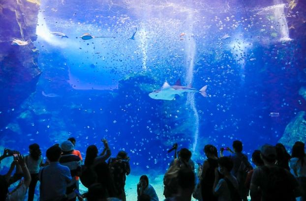 机场附近景点推荐 机场附近景点推荐