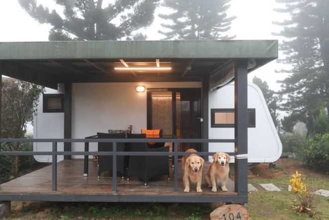 桃園露營車推薦寵物