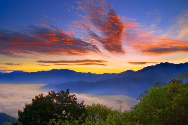 阿里山住宿選擇 阿里山住宿選擇