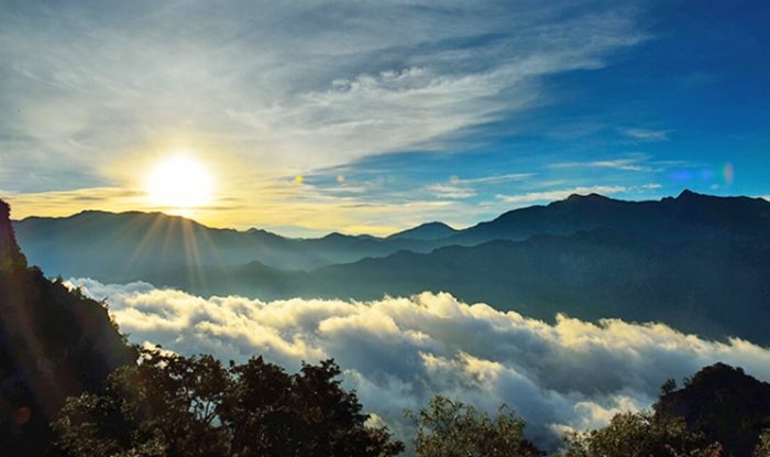 阿里山交通攻略 阿里山交通攻略