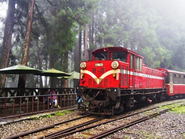 阿里山住宿推薦 阿里山住宿推薦