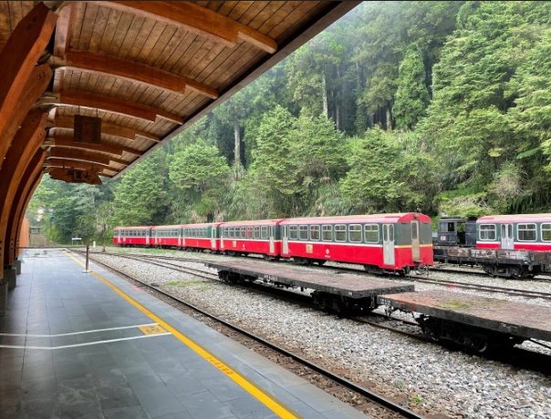 阿里山住宿推薦 阿里山住宿推薦