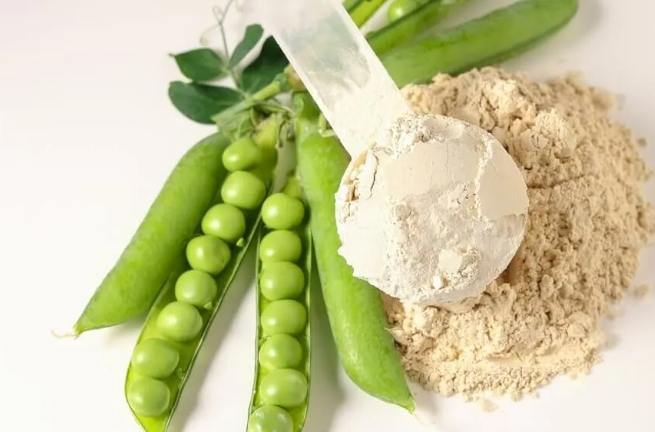 植物蛋白粉壞處