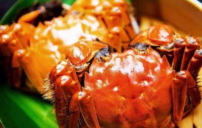 螃蟹處理技巧 螃蟹處理技巧