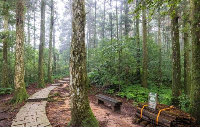 復興鄉旅遊景點 復興鄉旅遊景點