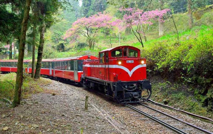 阿里山小火車附近飯店 阿里山小火車附近飯店