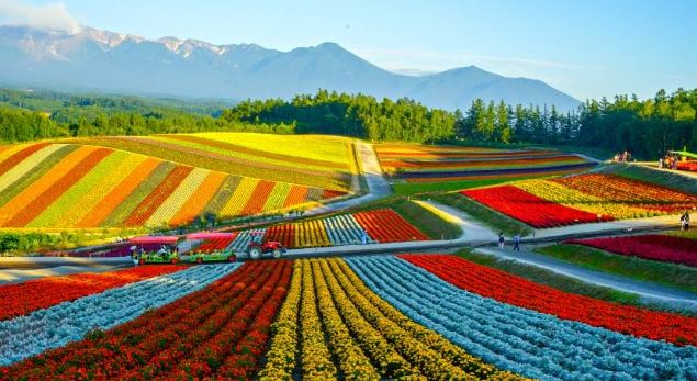北海道秋季自駕