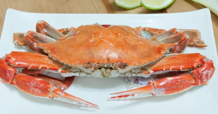 三點蟹食譜