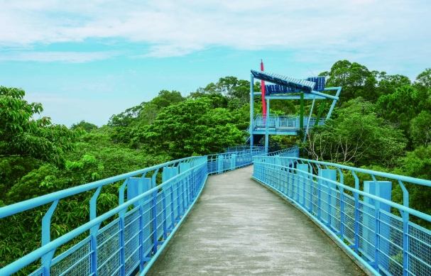 苗栗銅鑼旅遊 苗栗銅鑼旅遊