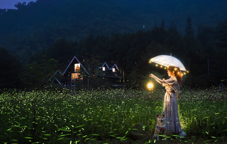 晶園休閒渡假村螢火蟲