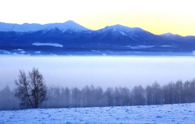 北海道雪地自驾