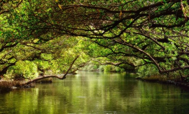 親子一日遊景點