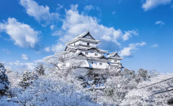 和歌山溫泉推薦