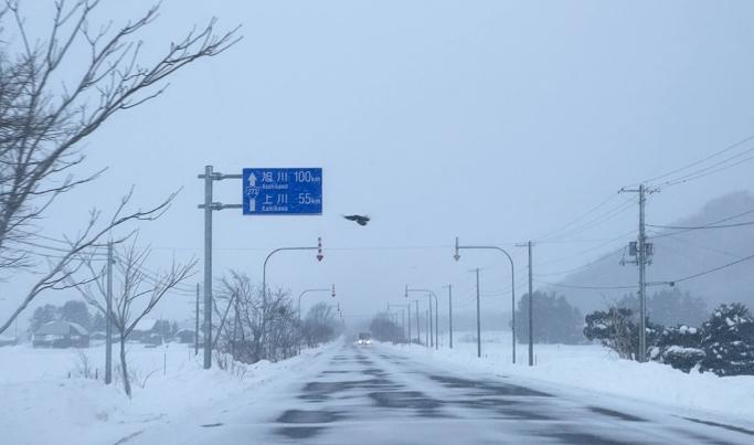 冬天北海道自驾