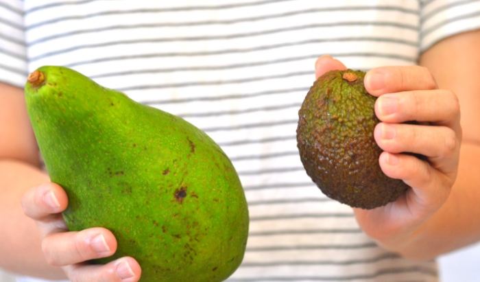 酪梨成熟判斷 酪梨成熟判斷