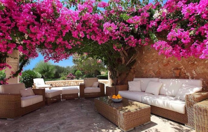 九重葛支架選擇