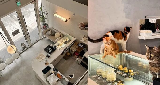 竹北咖啡廳推薦 竹北咖啡廳推薦