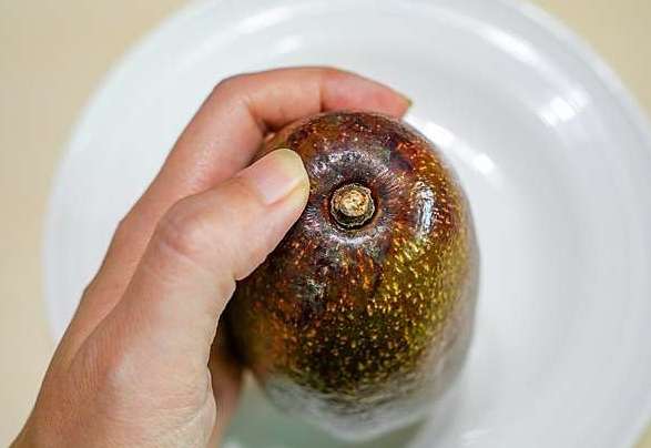 酪梨選購方法 酪梨選購方法