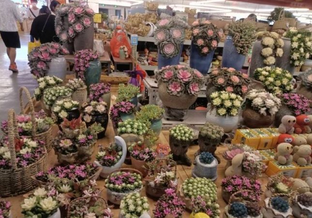 斗南花市幾點開