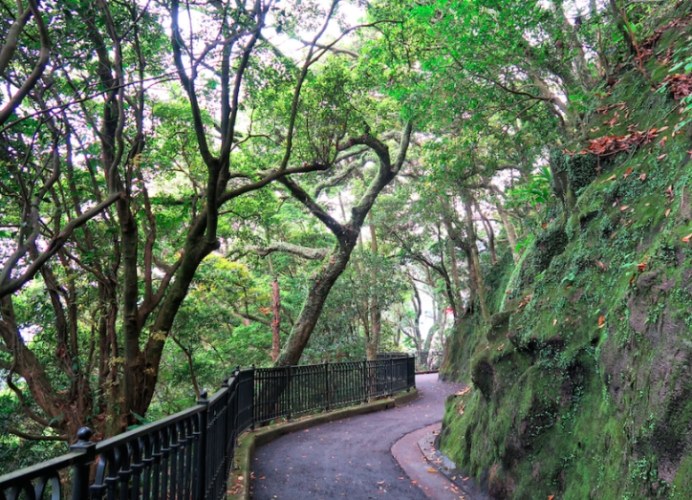 香港行山路線