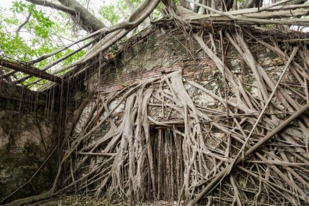 中南部旅遊推薦