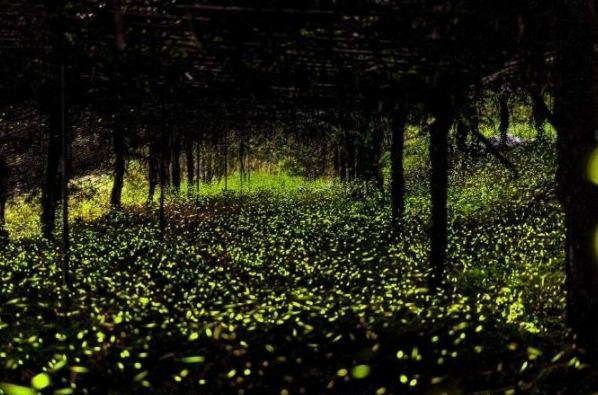 那瑪夏民宿推薦