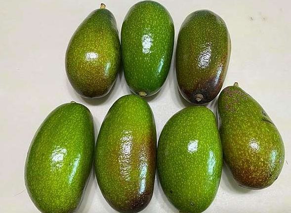 酪梨選購方法 酪梨選購方法