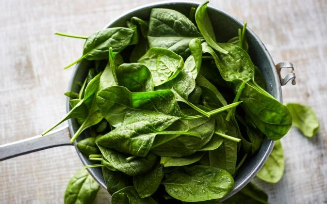 高纖維蔬菜降膽固醇