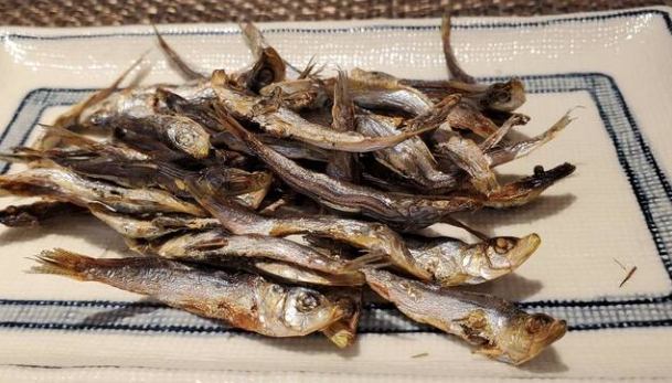 長高飲食指南 長高飲食指南