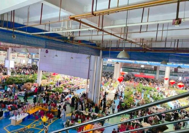 斗南花市營業時間