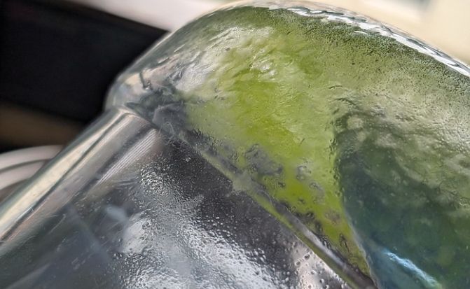 水放久綠色原因