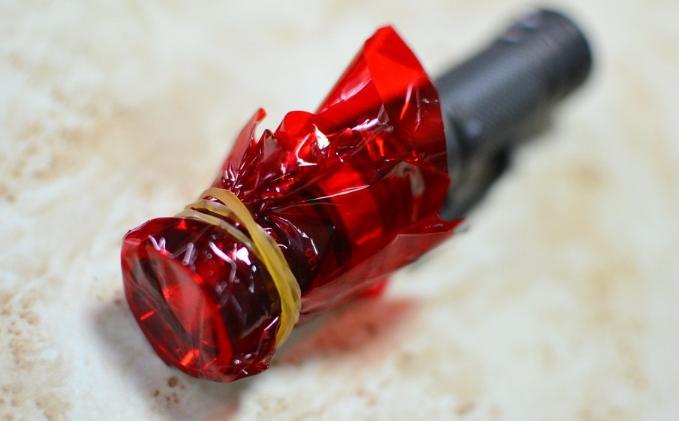 螢火蟲觀賞指南