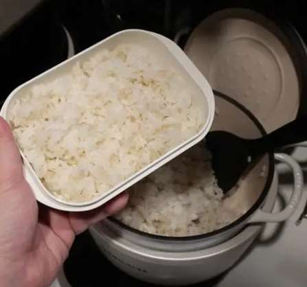 白飯保存盒使用方法