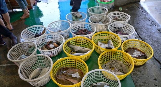 台南海鮮市場 台南海鮮市場