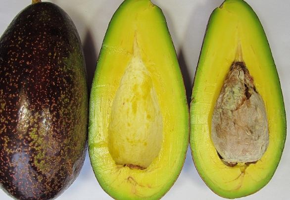 酪梨催熟方法 酪梨催熟方法